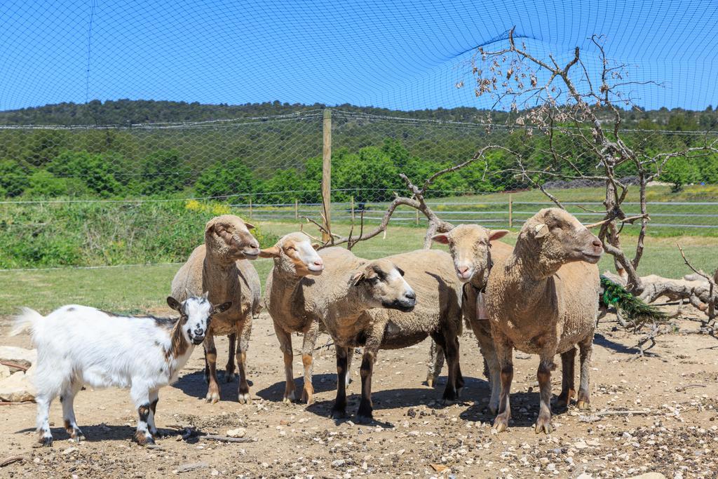Вілла Lou Mas Li Pitchoun "Le Luberon " Горд Екстер'єр фото