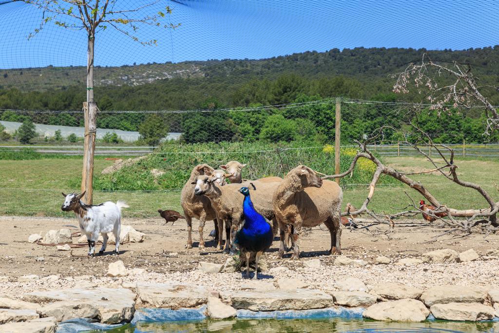 Вілла Lou Mas Li Pitchoun "Le Luberon " Горд Екстер'єр фото